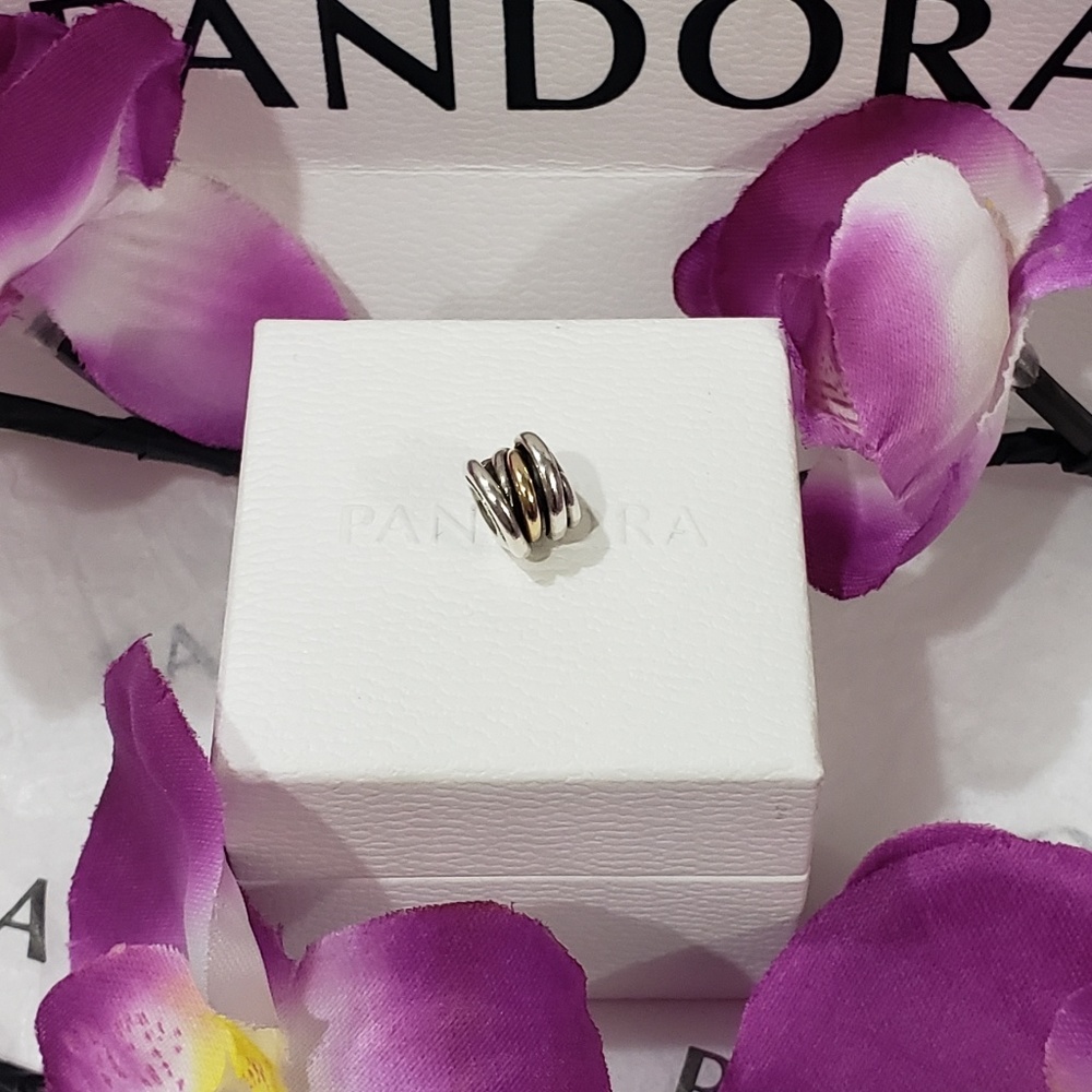 🚫 NOT AVAILABLE🚫 Pandora Two Tone Cluster Charm